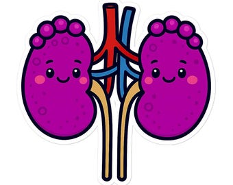 Kidney Vinyl Sticker - Funny Nephrology Nurse Gift, Medical Humor Decal, Laptop Water Bottle Sticker