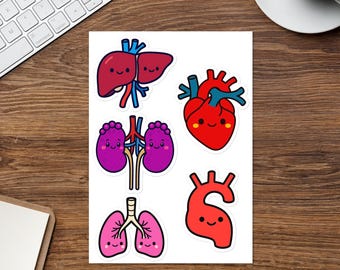 Cartela de adesivos engraçados com órgãos médicos, adesivos de humor da área da saúde