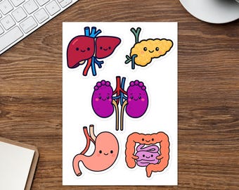 Adesivos engraçados de órgãos, decalques de vinil com humor médico, presente para enfermeiros e profissionais de saúde