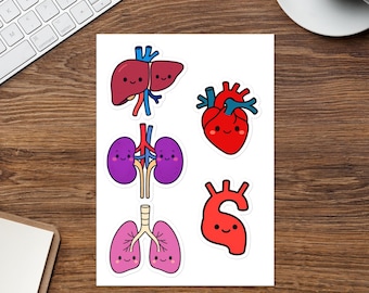 Funny Sticker Sheets, Colorful Characters, Healthcare and Organs, Set of 5