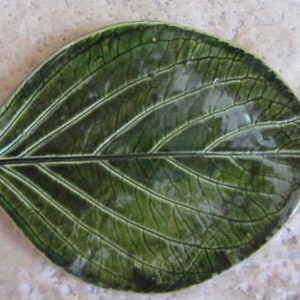 May include: A green ceramic leaf-shaped dish with a detailed vein pattern. The dish is glazed and has a glossy finish.