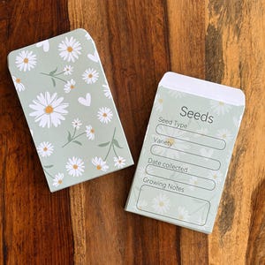 Empty Paper Seed Saver Packets, set of 10, seed storage envelopes