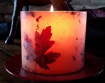 Ginger Fig, Candle ,Handcrafted Candle,  XLarge Candle, Organic Oval Candle , Botanical<  Glow Candle Maple Leaf Accents Cinnamon Buns,