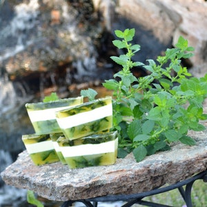 Lemon Balm, Soap Organic Soap, Handmade Soap Vegan Soap, Soap image 2