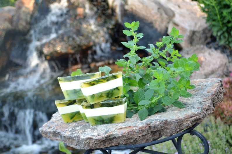 Lemon Balm, Soap Organic Soap, Handmade Soap Vegan Soap, Soap image 2