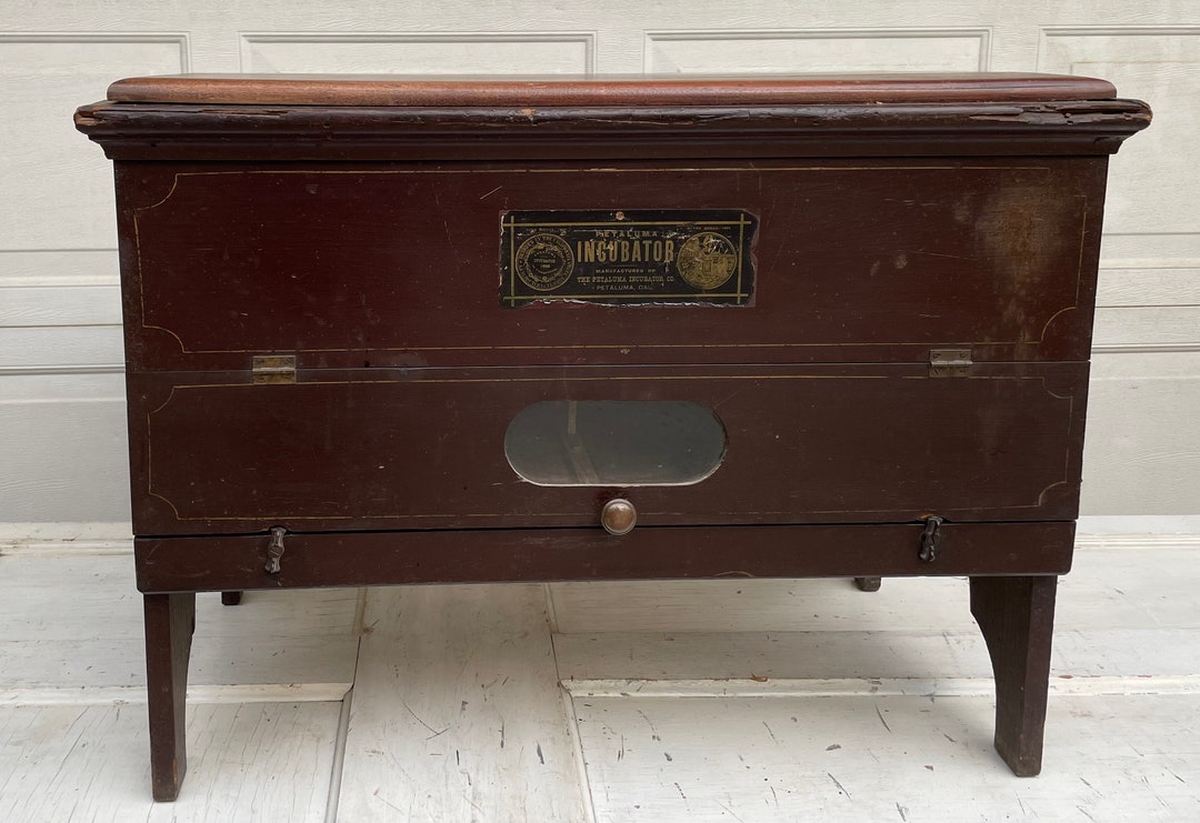 Antique Egg Incubator the Petaluma Incubator Co. Petaluma Incubator Etsy