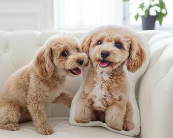 Personalized Pet Portrait Pillow,  Pet Photo Pillow