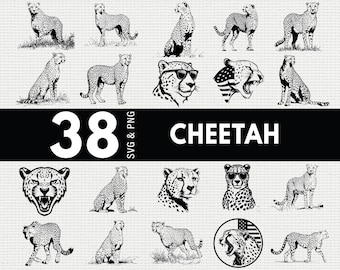 Gepard SVG PNG-paket, vilda djur silhuett Clipart, Safari Cricut-filer, snabb kattvektor