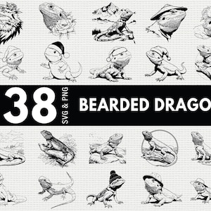 Bearded Dragon SVG PNG Bundle, Reptile Silhouette Clipart, Lizard Pet Cricut Cut Files Vector
