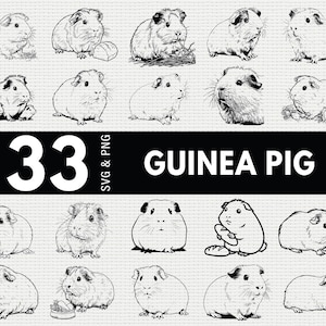 May include: A collection of 33 guinea pig illustrations in black and white. The image includes various poses and styles of guinea pigs, with some holding food or interacting with objects. The text "GUINEA PIG" is displayed prominently.