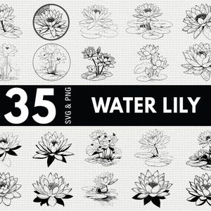 Può includere: Una collezione di 35 illustrazioni di ninfee in formati SVG e PNG. I disegni in bianco e nero raffigurano varie ninfee, alcune con petali e foglie dettagliati, altre in cornici circolari.