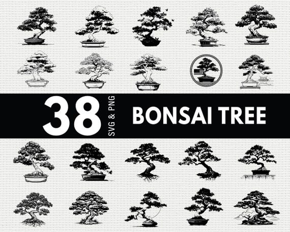 Bonsai Tree SVG PNG Bundle, Zen Plant Silhouette Clipart, Japanese Garden  Cricut Files Vector - Etsy Israel