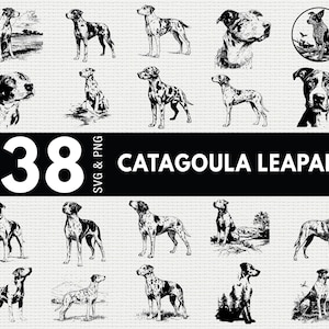 May include: A collection of 38 black and white digital illustrations of Catahoula Leopard dogs in various poses, including standing, sitting, and head portraits, with the text 38 SVG & PNG CATAGOULA LEAPARD displayed in a central black banner.