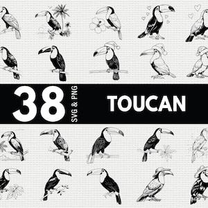 May include: A collection of 18 black and white toucan illustrations in various poses, some with holiday hats and tropical elements. The image includes the text "38 SVG & PNG" and the word "TOUCAN".