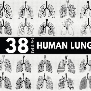 May include: A collection of 38 human lung designs in SVG and PNG formats. The black and white illustrations include detailed anatomical drawings and floral-themed variations. The text "38 HUMAN LUNG" is displayed in bold white letters on a black banner.