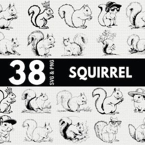 May include: A collection of 38 black and white squirrel illustrations in various poses, some wearing accessories like hats and sunglasses. The text "38 SVG & PNG SQUIRREL" is displayed in the center.