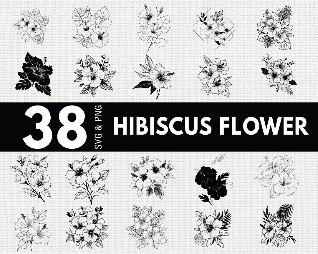 Hibiscus Flower SVG Bundle, Tropical Leaves Silhouette PNG, Hawaiian ...