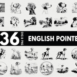 May include: A collection of 36 English Pointer dog designs in SVG and PNG formats. The black and white illustrations feature various poses, including portraits with floral crowns and depictions with American flags, suitable for digital art projects.