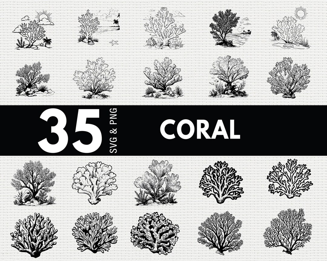 Coral SVG Bundle, Ocean Reef Silhouette PNG, Marine Plant Clipart ...
