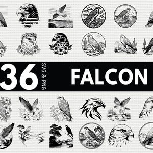 Può includere: Una collezione di 36 illustrazioni di falchi in bianco e nero in varie pose e stili. Alcuni disegni presentano gli uccelli con elementi floreali, mentre altri sono ambientati all'interno di cornici circolari o contro paesaggi. La parola "FALCON" è visualizzata in grassetto bianco.
