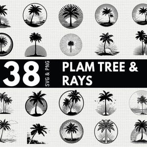 Palm Tree and Sun Rays SVG Bundle, Tropical Sunset Silhouette PNG, Summer Beach Clipart