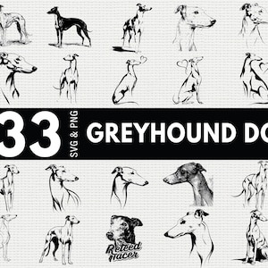Puede incluir: Una colección de 33 ilustraciones de perros galgos en varias poses y estilos, incluyendo vistas de pie, sentado y de perfil. Las imágenes son en blanco y negro, con el texto "33 GREYHOUND DOG SVG & PNG" en una pancarta negra.