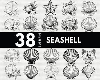 Seashell SVG PNG Bundle, Beach Seashell Silhouette Clipart, Ocean Cricut Cut Files Vector Art