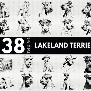 May include: A monochrome image featuring 38 Lakeland Terrier dog illustrations. The dogs are shown in different poses, some adorned with crowns, sunglasses, and hats. The text "38 SVG & PNG" and "LAKELAND TERRIER" is displayed.