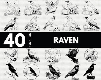 Raven SVG PNG Bundle, Gothic Bird Silhouette Clipart, Halloween Crow Cricut Cut Files, Witchcraft