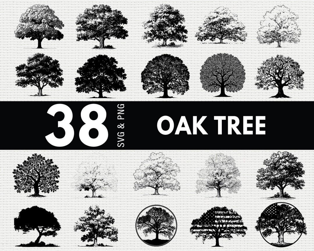 Oak Tree SVG PNG Bundle, Nature Silhouette Clipart, Family Roots Cricut ...