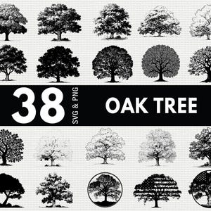 May include: A collection of 38 oak tree illustrations in various styles, from detailed line drawings to silhouettes. The images are in black and white, with the text "38 SVG & PNG OAK TREE" in a bold, white font on a black background.