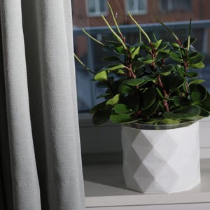 Puede incluir: Una maceta geométrica blanca con una planta verde de hojas redondas y tallos rojos. La maceta está sobre un alféizar blanco junto a una cortina gris claro. La ventana revela una vista de un edificio.