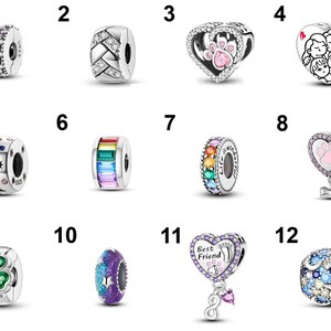 May include: A collection of silver charm beads with various designs. Includes beads with colorful gemstones, a paw print, a family, a four-leaf clover, and a star design. Some beads have the text "Best Friend".