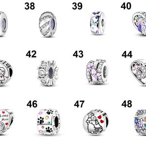 May include: A collection of silver charm beads with various designs. Some beads feature hearts, butterflies, paw prints, and illustrations of people. Others have crystal and gemstone accents. These beads are designed for bracelets.