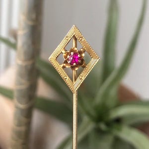 May include: A gold-colored stick pin with a diamond-shaped head. The head features a floral design with a central, round, red gemstone. The pin is set against a blurred background of green foliage.