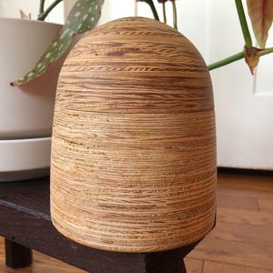 Puede incluir: Un objeto de madera en forma de cúpula con un patrón de veta de madera en capas. El objeto es de color marrón claro y tiene una superficie lisa y redondeada.