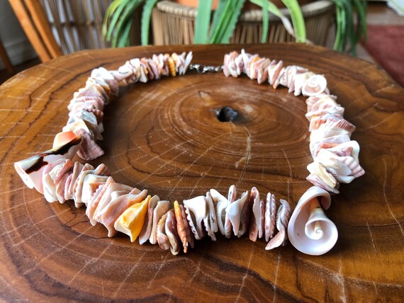 Chunky Natural Seashell Pooka Shell Graduated Sho… - image 2