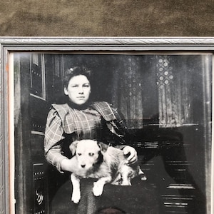 Antique Victorian Edwardian Era Real Original Picture Photo Portrait Sitting Lady Woman and her Dog Photograph Silver Wood Framed England UK