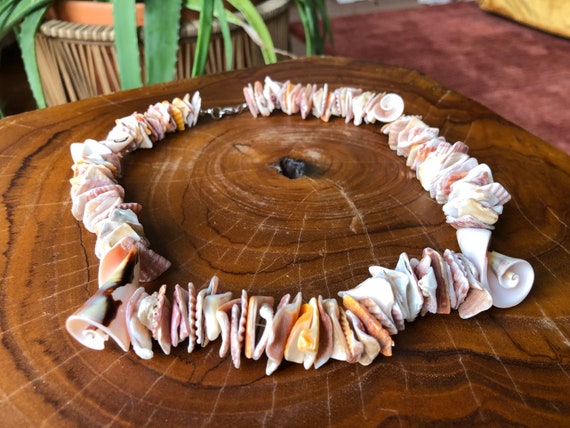 Chunky Natural Seashell Pooka Shell Graduated Sho… - image 7