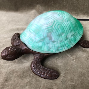 Pode incluir: Lâmpada decorativa em forma de tartaruga com casco com padrão turquesa e branco e base marrom. A lâmpada tem um cabo preto e está sobre uma superfície texturizada. Um item de decoração único.
