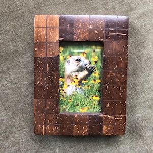 May include: A brown wooden picture frame with a small photo of a prairie dog eating a flower. The frame is made of small pieces of wood that are arranged in a mosaic pattern.