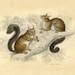 Propietario de <a href='https://www.etsy.com/mx/shop/sssggg?ref=l2-about-shopname&from_page=listing' class='wt-text-link'>sssggg</a>
