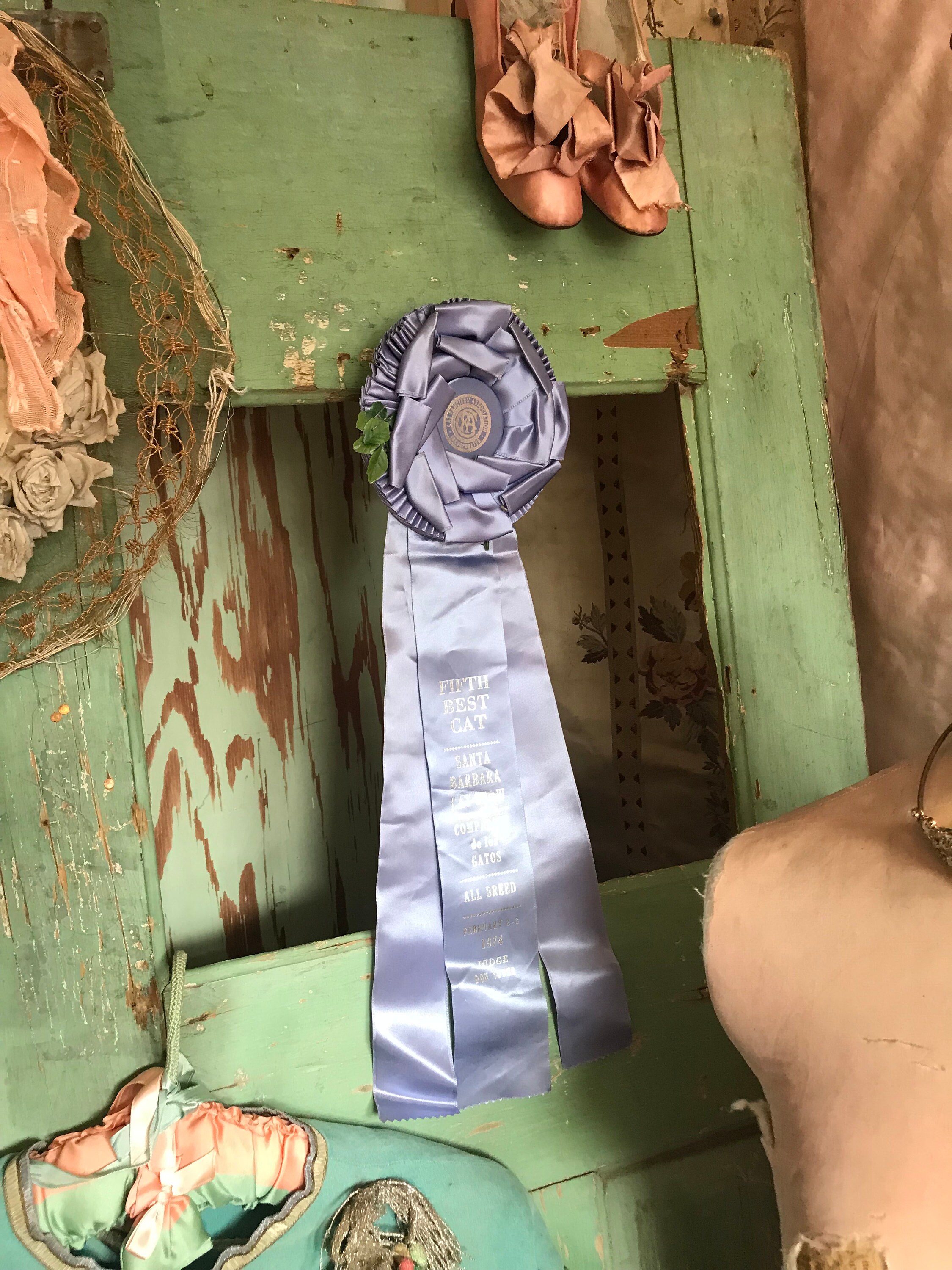 Vintage CFA CAT Show Satin Ribbon Rosette Award Blue 1975 Etsy