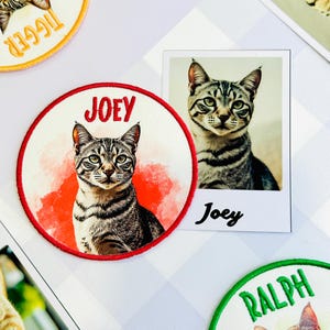May include: Close-up of a cat-themed patch with the name "Joey" in red lettering. The patch has a red border and a watercolor-style background. A polaroid-style photo of the same cat is also visible, with the name "Joey" written below.