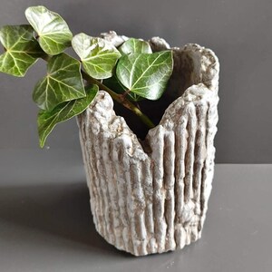 Peut inclure: Un pot de fleurs texturé blanc cassé avec un design rugueux à lignes verticales. Le pot contient une branche de lierre vert avec des veines visibles. Un article décoratif pour l'intérieur ou l'extérieur.