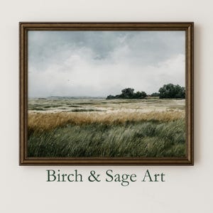 May include: A framed landscape painting featuring a field of tall grass in shades of green and gold under a cloudy sky. The artwork is in a dark brown frame, with the text "Birch & Sage Art" at the bottom.