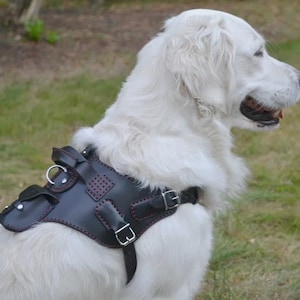 Handmade Leather Dog Harness – Italian Veg-Tanned Leather – Durable Pet Harness with Handle & Pockets – Artisan Dog Gear