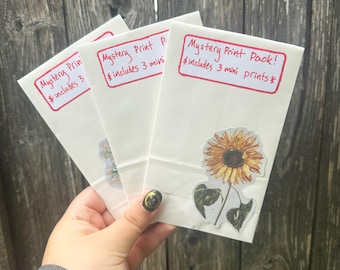 Mystery Print Pack!