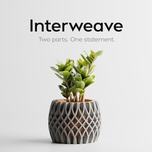 Könnte beinhalten: Eine kleine Topfpflanze mit grünen Blättern in einem grauen, gemusterten Topf. Der Topf hat ein Gittermuster. Der Text "Interweave" und "Two parts. One statement." stehen oben.