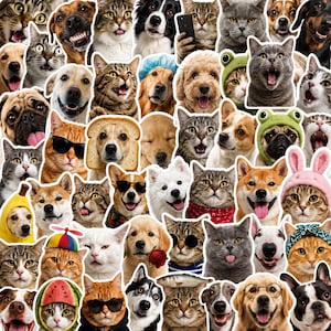 60PCS Funny Cat Dog Stickers PNG Bundle, Pet Planner Journal, Canva Template, Digital Download